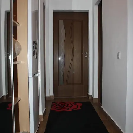 Apartament Alexandru * Брашов